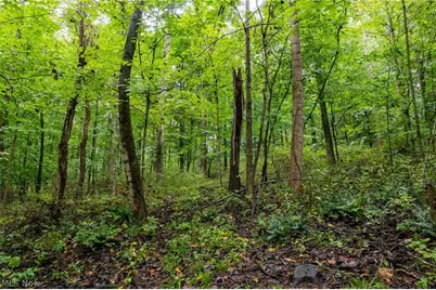 White Eyes Road, New Concord, OH 43762 - Photo 25