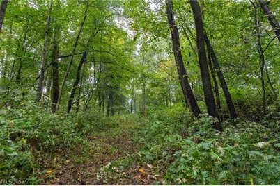 White Eyes Road, New Concord, OH 43762 - Photo 27