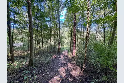 37817 Township Road 437A, Dresden, OH 43821 - Photo 21