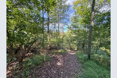 37817 Township Road 437A, Dresden, OH 43821 - Photo 27