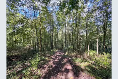 37817 Township Road 437A, Dresden, OH 43821 - Photo 23