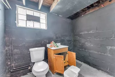 3150 W 46th Street, Loveland, OH 44102 - Photo 29