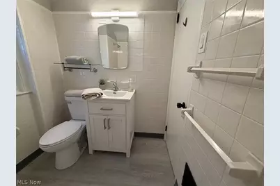1139 Roslyn Avenue, Akron, OH 44320 - Photo 29