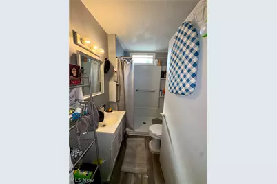 423 7th Street, Fairport Harbor, OH 44077 - Photo 31