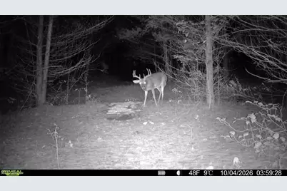 Township Rd 329, Corning, OH 43730 - Photo 39