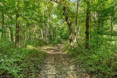 Township Rd 329, Corning, OH 43730 - Photo 33
