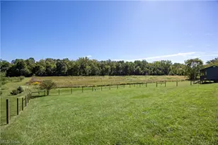 1655 St Rt 60, Ashland, OH 44805 - Photo 37