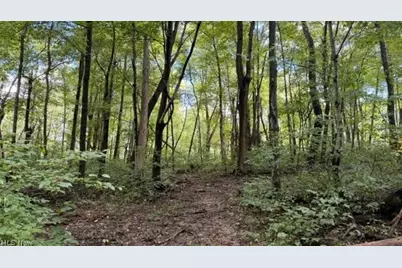 18853 Township Rd. 65, Coshocton, OH 43844 - Photo 29