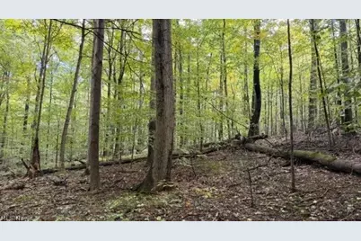 0 Township Rd. 65, Coshocton, OH 43844 - Photo 35