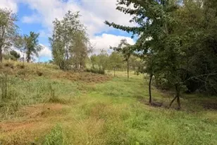 18853 Township Rd 65, Coshocton, OH 43844 - Photo 21