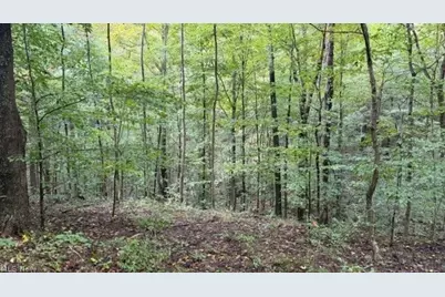 18853 Township Rd. 65, Coshocton, OH 43844 - Photo 25