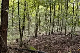 18853 Township Rd 65, Coshocton, OH 43844 - Photo 25
