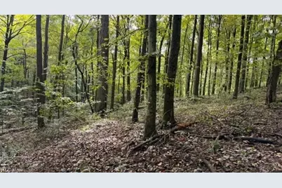 0 Township Rd. 65, Coshocton, OH 43844 - Photo 23