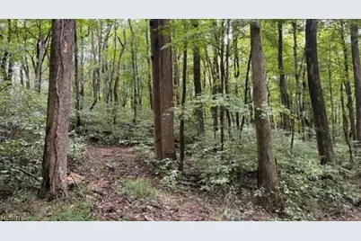 0 Township Rd. 65, Coshocton, OH 43844 - Photo 27