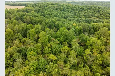 33023 Township Road 373, Warsaw, OH 43844 - Photo 21