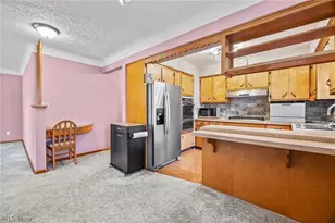 217 Clinton Ave, Akron, OH 44301 - Photo 5
