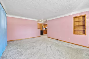 217 Clinton Ave, Akron, OH 44301 - Photo 11