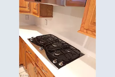 4731 Buhl Boulevard, Uniontown, OH 44685 - Photo 15