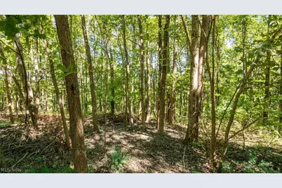 2038 Oldtown Valley Road SE, New Philadelphia, OH 44663 - Photo 41