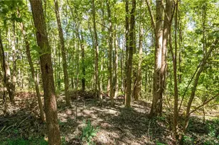 2038 Oldtown Valley Rd SE, New Philadelphia, OH 44663 - Photo 41