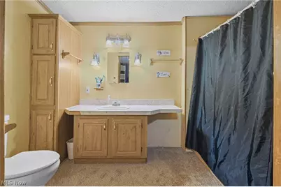 3839 E Sterling Road, Creston, OH 44217 - Photo 19