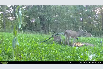 Richards Rd. Road, Cambridge, OH 43725 - Photo 15