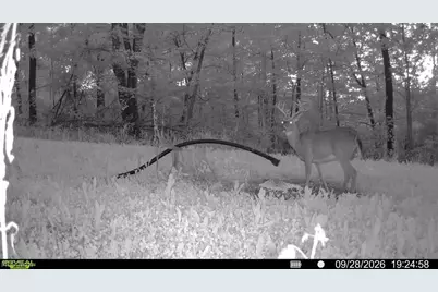 Richards Rd. Road, Cambridge, OH 43725 - Photo 13