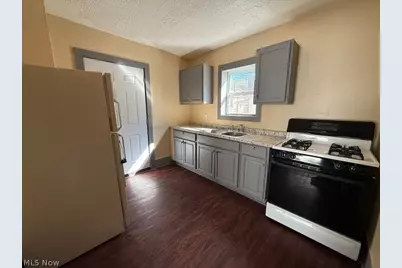1017 La Croix Avenue, Akron, OH 44307 - Photo 11