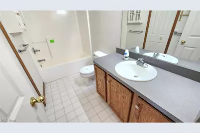 1033 Saint Michaels Way, Madison, OH 44057 - Photo 35