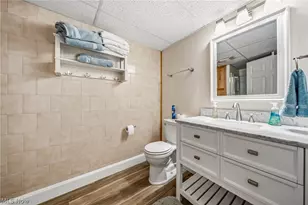 305 W Cedar St, Jefferson, OH 44047 - Photo 39