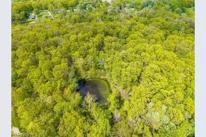6066 Case Road, North Ridgeville, OH 44039 - Photo 13
