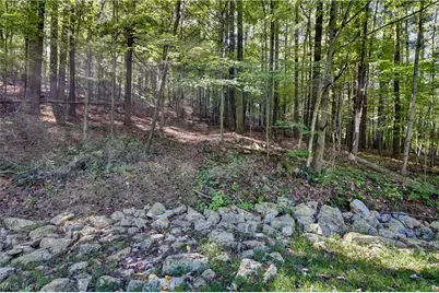 8097 Ore Hill Road SW, Stone Creek, OH 43840 - Photo 15