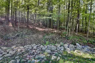 8097 Ore Hill Rd SW, Stone Creek, OH 43840 - Photo 15
