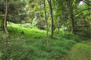 8097 Ore Hill Rd SW, Stone Creek, OH 43840 - Photo 33