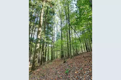 8097 Ore Hill Road SW, Stone Creek, OH 43840 - Photo 17