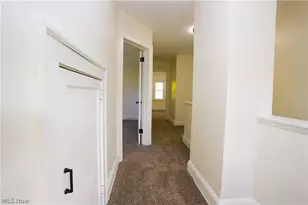 8216 Vineyard Ave, Loveland, OH 44105 - Photo 15