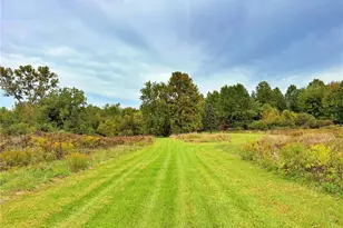 46868 Butternut Ridge Rd, Oberlin, OH 44074 - Photo 11