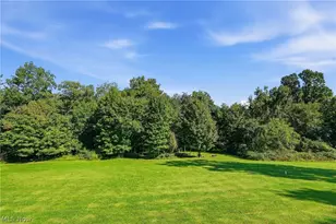 37517 Harry's Ridge Rd, Belmont, OH 43713 - Photo 49