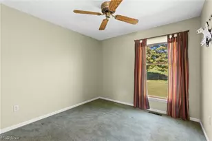 73881 Colerain Mt Pleasant Rd, Dillonvale, OH 43912 - Photo 23