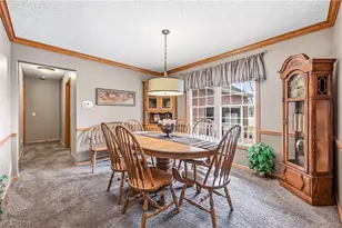1009 E Reno Dr, Louisville, OH 44641 - Photo 11