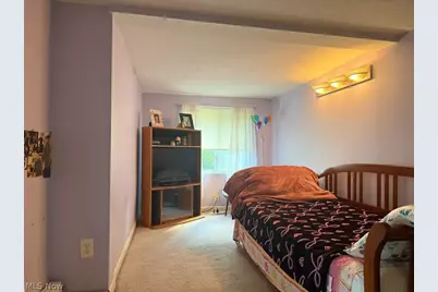 449 N Broadway, Geneva, OH 44041 - Photo 17