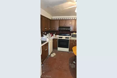 542 N Dunlap Avenue, Youngstown, OH 44509 - Photo 11