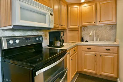 1460 Lake Vue Drive, Roaming Shores, OH 44085 - Photo 43