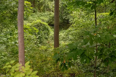 6065 Hopkins Road, Mentor, OH 44060 - Photo 11
