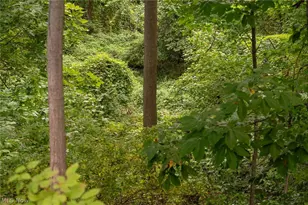 6065 Hopkins Rd, Mentor, OH 44060 - Photo 11