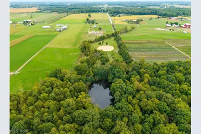 9742 Firestone Road, Homerville, OH 44235 - Photo 47