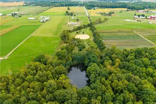 9742 Firestone Rd, Homerville, OH 44235 - Photo 47