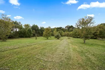 9742 Firestone Road, Homerville, OH 44235 - Photo 41