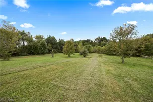 9742 Firestone Rd, Homerville, OH 44235 - Photo 41