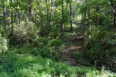 Perl Road, Chandlersville, OH 43727 - Photo 11